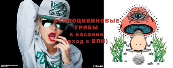 амф Тобольск