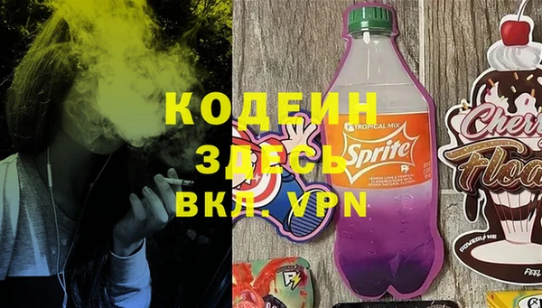 твердый Сясьстрой