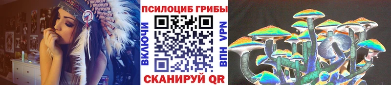 Галлюциногенные грибы Psilocybe  Купить закладки  Зерноград 
